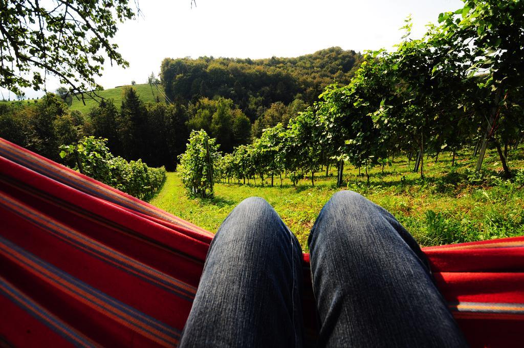 Weingut Winzerzimmer Rothschaedl Leutschach Exterior foto